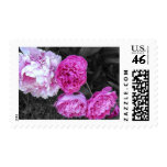 Peonies Bush Stamp