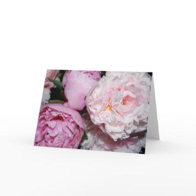 Peonies Card by isouz59