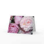 peony, peonies, flower