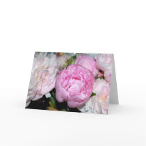 Peonies Cards