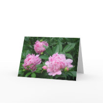 Peonies cards by amwesley Peonies cards