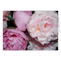 Peonies Card