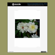 Peonies skins