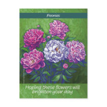 Peonies Post Card postcards by ImagineThatDesign Peonies Post Card postcards
