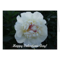 Peonies Valentines Day Card cards