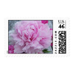 Peonies Wedding Stamps Peony Flowers