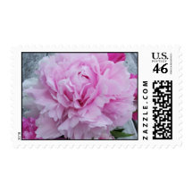 Peonies Wedding Stamps Peony Flowers