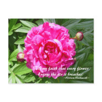 Peonies - Wordsworth postcards by archemedes Peonies - Wordsworth postcards