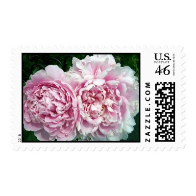 Peony 2 Stamp