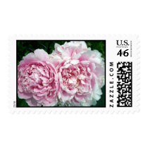 Peony 2 Stamp