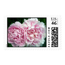 Peony 2 Stamp