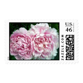 Peony 2 Stamp stamp
