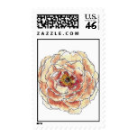 Peony (Amber) Stamp