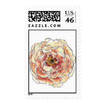 Peony (Amber) Stamp