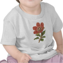 Peony, Antique Victorian Botanical Image Tees