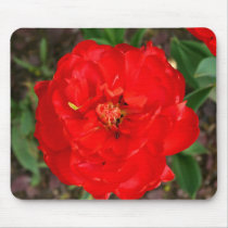 Peony-blooming Tulip mousepads