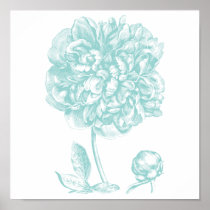 Peony Blue Green posters