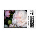 Peony Bouquet Stamp by isouz59 Peony Bouquet Stamp