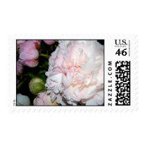 Peony Bouquet Stamp by isouz59 Peony Bouquet Stamp