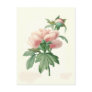 Peony by Pierre-Joseph Redouté Post Cards