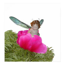 Peony Fae posters