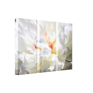 Peony Flame Photography Stretched Canvas Print