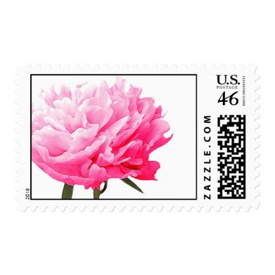 Peony flower postage stamps
