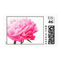 Peony flower postage stamps