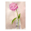 Peony Flower Still Life in Watercolor posters