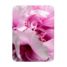 Peony Flowers Premium Magnet