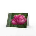 Peony • Good Luck Card by SabineStGreetings Peony • Good Luck Card