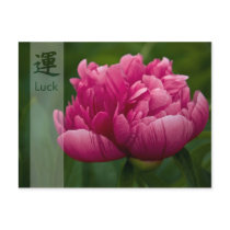Peony • Good Luck Postcard