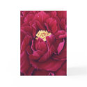 Peony Greeting Card