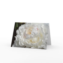 Peony Greeting Card by GrammyCracker Peony Greeting Card