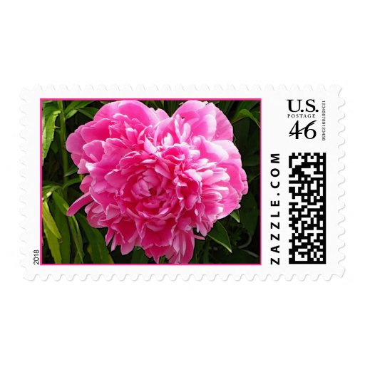 Peony Heart Postage