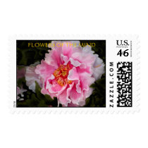 PEONY IN FULL postage