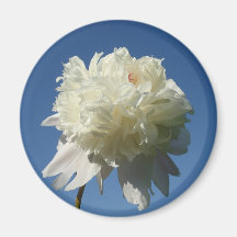 Peony in the Sky Fridge Magnet