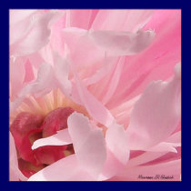 Peony jewels posters