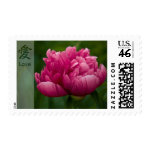 Peony %u2022 Kanji Love Stamp stamp