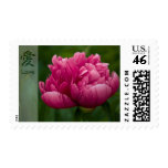Peony • Kanji Love Stamp