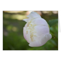 Peony Note Card cards