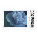 peony, Painting by DBarnhart postage by maydb_7 peony, Painting by DBarnhart postage