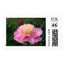 Peony postage