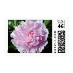 peony postage