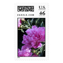 Peony postage