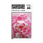 Peony Postage Stamps