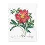 Peony Post Cards
