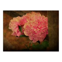 Peony Poster