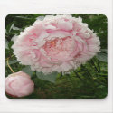 Peony Rose and bud mousepad by wondersofwnc Peony Rose and bud mousepad