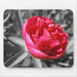 peony rose mouse pad mousepads